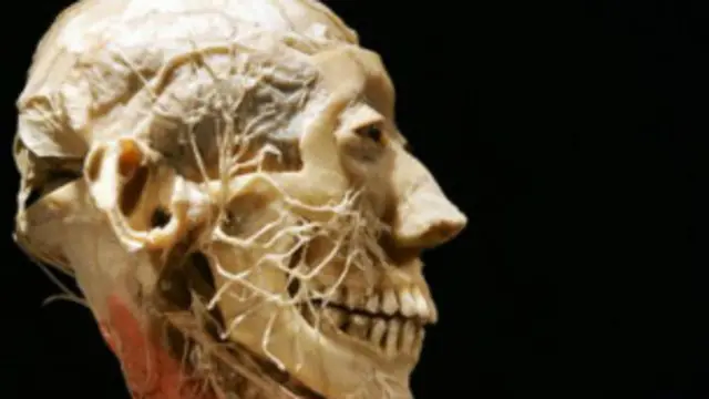 التقنية الجديدة تجعل الجثة كأنها جسم حي يستجيب لمشرط الجراح