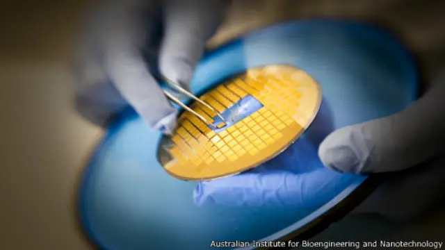 Nanoadesivo (Foto Australian Institute for Bioengineering and Nanotechnology)