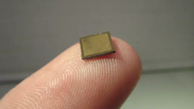 Nanoadesivo (Foto Australian Institute for Bioengineering and Nanotechnology)