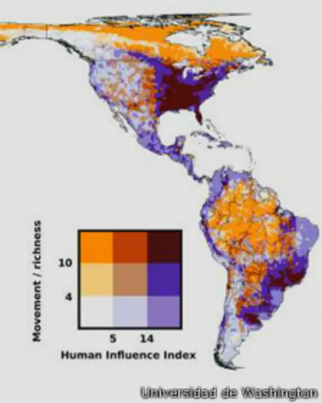 Mapa de rutas migratorias de la Universida de Washington