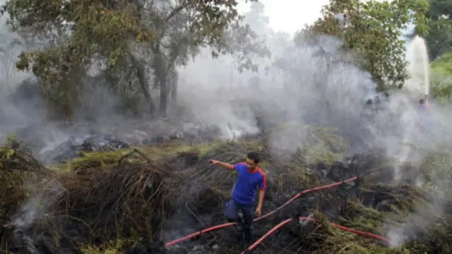 Kebakaran hutan di Riau