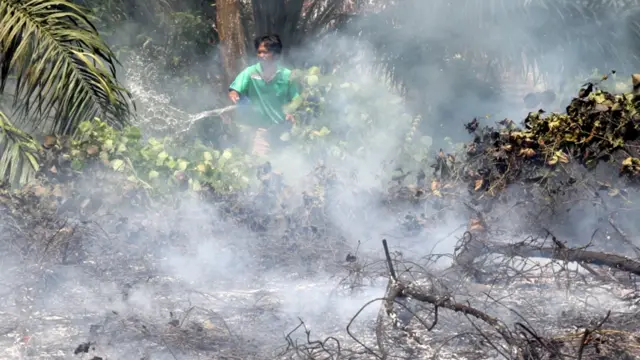 انڈونیشیا کے جزیرے سماٹرا میں آگ بجھانے کی کوششیں جاری ہیں