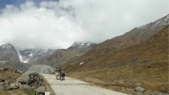 केदारनाथ खच्चर