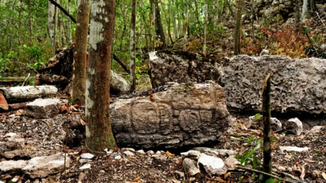 Fragmento de Estela 2, complejo oeste de Chactún.