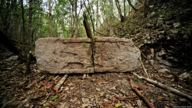 Estela 18. Complejo sureste. Chactún.