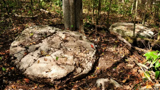 Dos altares en el complejo oeste, Chactún.