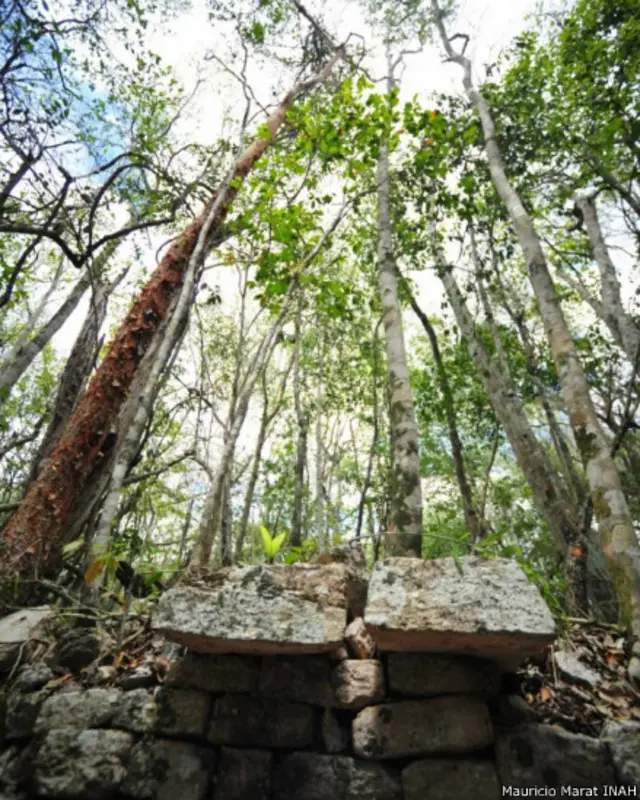 Restos de moldura de un muro en complejo sureste, Chactún.