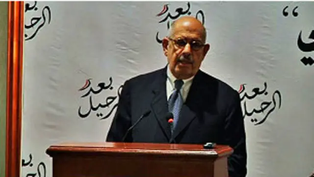 قال البرادعي إن النظام الحالي أثبت عدم قدرته على إدارة شؤون البلاد.