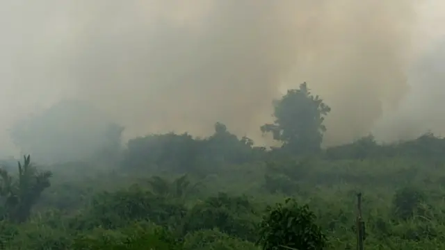 Kebakaran di dekat Pekanbaru