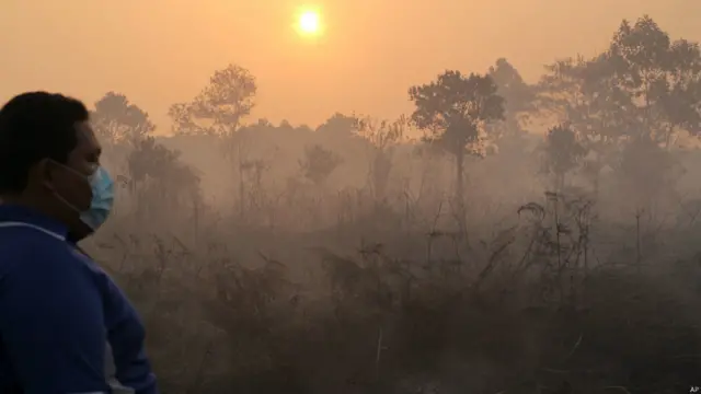 Kepulan asap kebakaran hutan