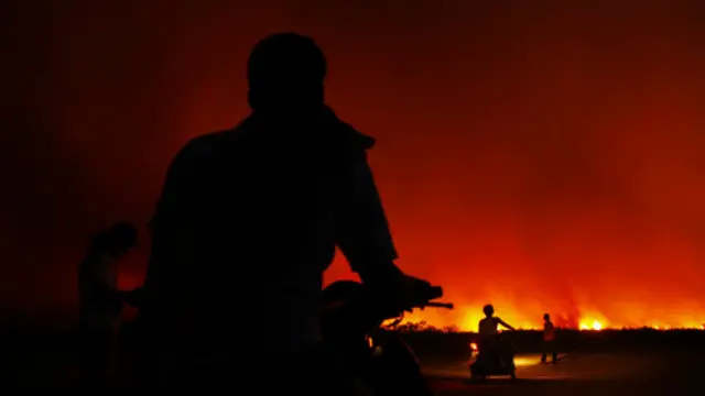 Kebakaran semak Riau