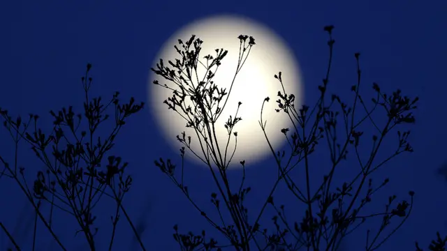 सुपरमून