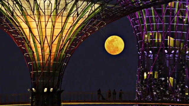 د سنګاپور په سوپر ټریز سیمه کې خلک د سوپر مون ننداره کوي.