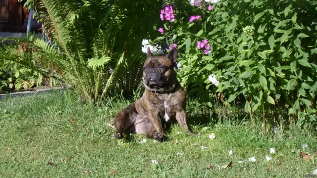 Ранним утром