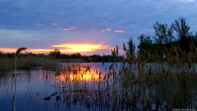 Ранним утром