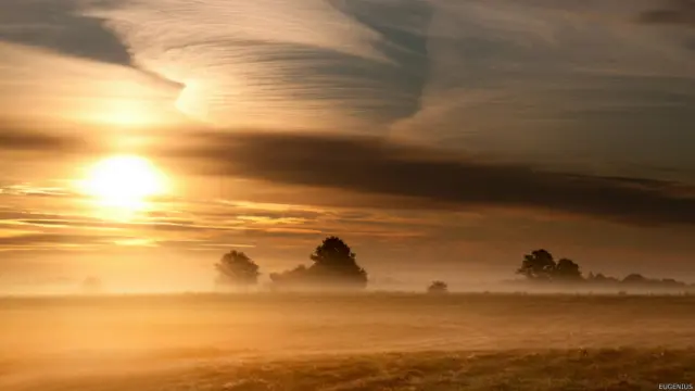 Ранним утром