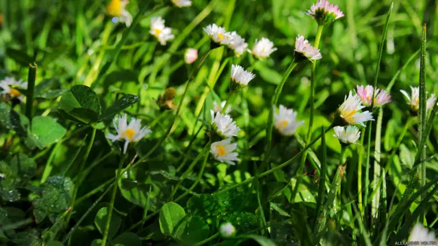 Ранним утром