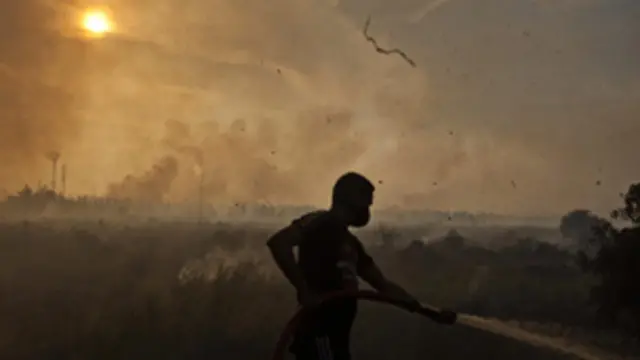 تضرم الحرائق لازالة الغابات 