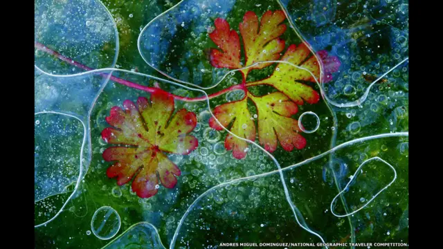 Fotografias fazem parte da seleção do 25° Concursoaplicativo apostas onlineFotosaplicativo apostas onlineViajantes da National Geographic. | Foto: Andrés Miguel Domínguez