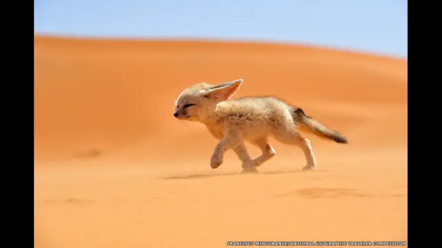 Fotografias fazem parte da seleção do 25° Concursoaplicativo apostas onlineFotosaplicativo apostas onlineViajantes da National Geographic. | Foto: Francisco Mingorance