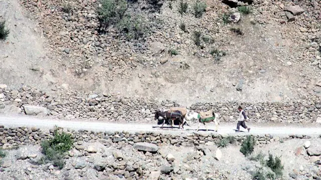 راه در افغانستان
