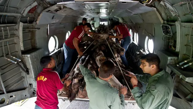 उत्तराखंड आपदा 