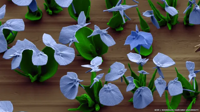 وفقاً لكلية الهندسة والعلوم التطبيقية بجامعة هارفرد، نوردين وفريقه يقومون بإذابة ملح "كلوريد الباريوم" في دورق مليء بالماء، وعند تعرض المحلول للهواء، يذوب ثاني أوكسيد الكربون في المحلول ويتفاعل مع كلوريد الباريوم مسفرا عن تكون كريستالات كاربونات الباريوم.