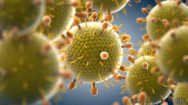 Virus sincitial respiratorio humano