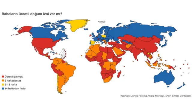 Araştırmacılar, haritaların başka ülkelerde ne olup bittiğini gösterme yoluyla olağan ya da kabul edilebilir olduğu düşünülen şeyleri sorgulatabildiğini belirtiyor. Bu harita, engelli çocukların eğitim hakkını yasal güvenceye alan ülke sayısının ne kadar az olduğunu gösteriyor. Kaynak: Dünya Politika Analiz Merkezi, Anayasalar Veritabanı, www.childrenschances.org