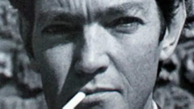 Julio Cortázar. Archivo