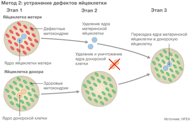 ivf_method2
