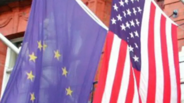 欧盟 美国旗