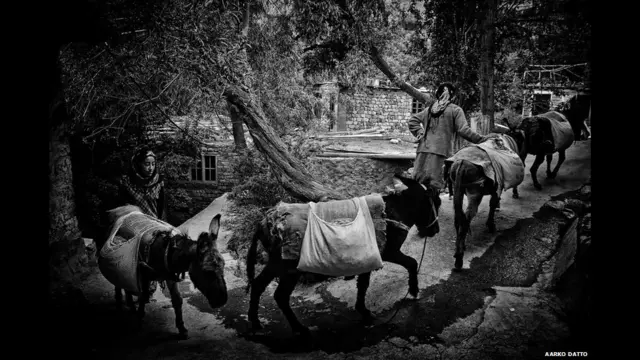 Una mujer guia a un burro en el medio del camino