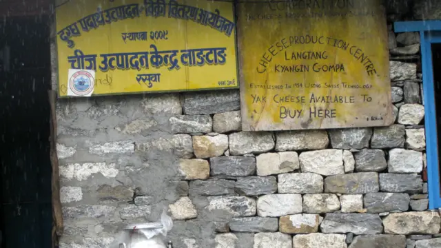 चिज कारखाना