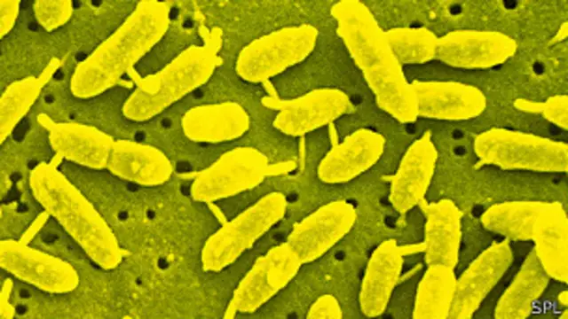 تلقي التركيبة الجديدة الضوء على الإمكانات الهائلة التى تكمن في البكتريا البحرية