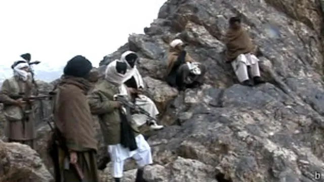 तालिबान