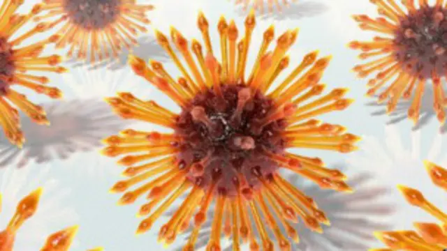 العلماء يبحثون إمكانية تطبيق العلاج على البشر