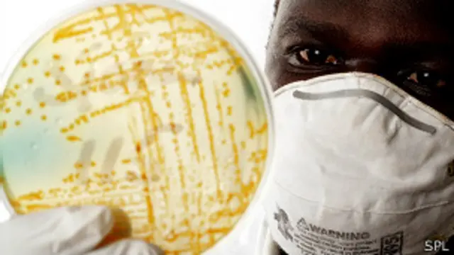 Investigación sobre el cólera