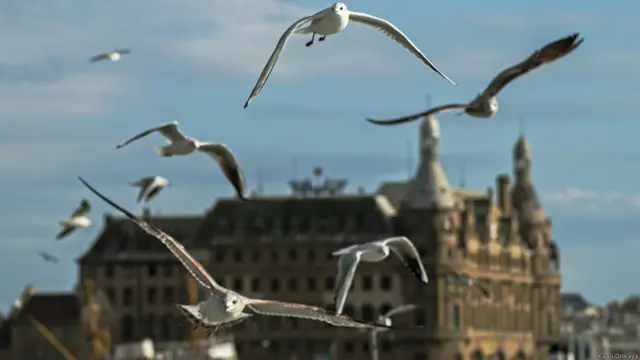 (Fotoğraf: Kaan Dişkaya)