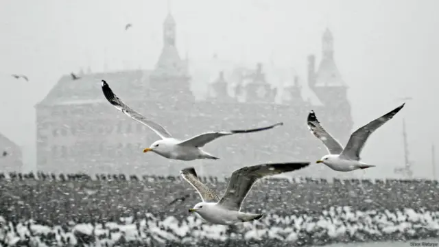 (Fotoğraf: Kaan Dişkaya)