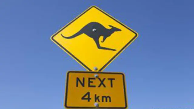 2002年统计发现,澳大利亚共有5860万只袋鼠,几乎相当于牛的两倍。