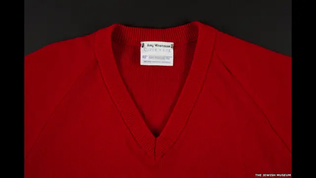 Cantora britânica completaria 30 anos; fotos registram sua infância e seu sucesso. 