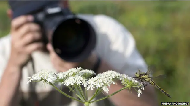 фото природы