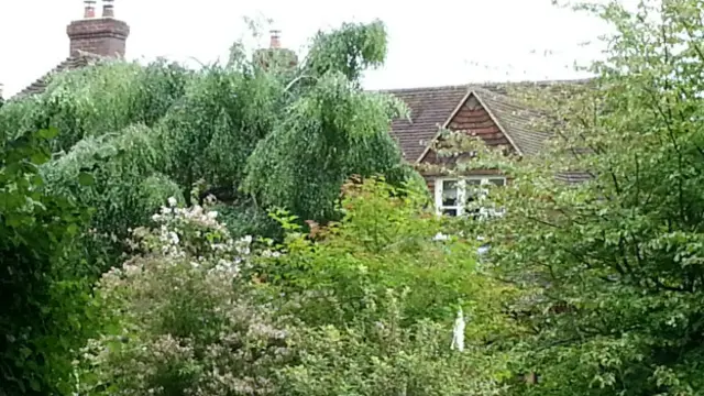 凯特童年时居住的房子