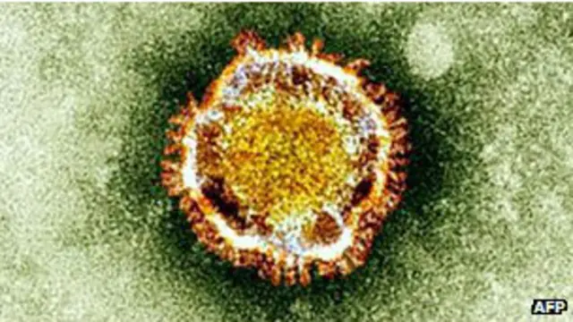 فيروس كورونا