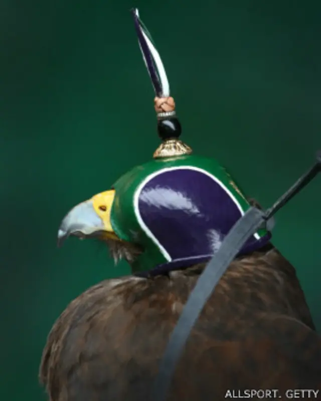 شاهین ویمبلدون کلاهخودی با رنگ‌های سنتی ویمبلدون دارد