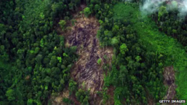 इंडोनेशिया गुनुंग लीज़र राष्ट्रीय पार्क