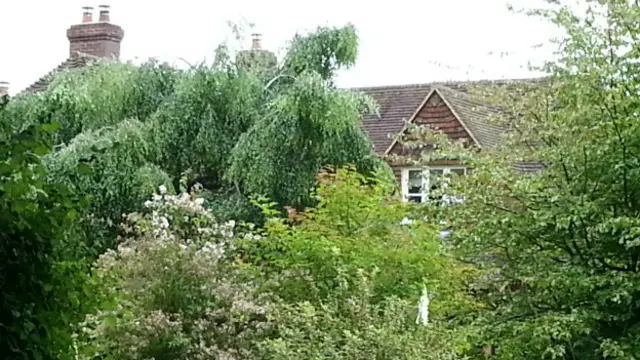 凱特童年時居住的房子