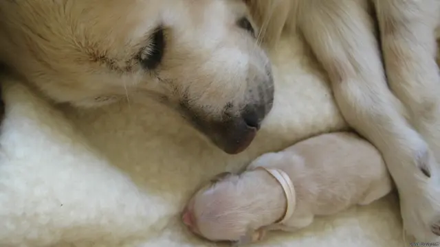 Фото и текст: Ирина Давыдофф.