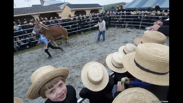 घुड़सवारी इवेंट, चेज़ गटमैन 
